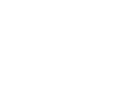cropped white logo southern 1.png